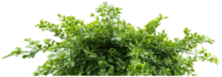 Design Project Background Bottom